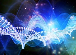 Activer vos brins d’ARN/ADN dormants