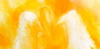 Communier avec vos Anges Solaires