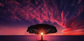 Vous allez vers des moments plus légers