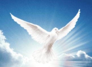 La Qualité d’Amour connue sous le nom de « Omnipotence »