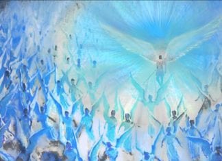 Nous avons besoin de travailler à l’unisson avec les anges de la Terre