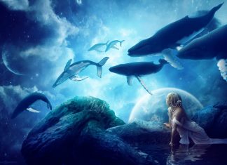 C’est la vibration qui vous habite qui construit votre journée!