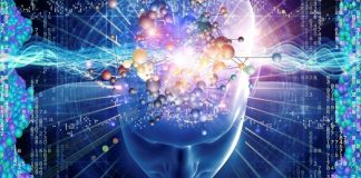 La Qualité d’Amour connue sous le nom de «Intelligence»