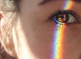 Le Conseil – En réponse à quelques questions #5