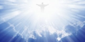 Examen Principal de Votre Vie