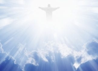 Examen Principal de Votre Vie