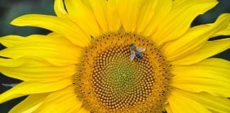 Profitez-vous de votre journée ?