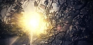 Au Nom de la Vie sur Terre