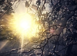 Au Nom de la Vie sur Terre