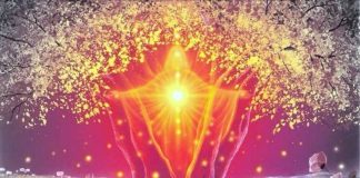 Ouvrez la porte à votre Coeur et à votre Libération