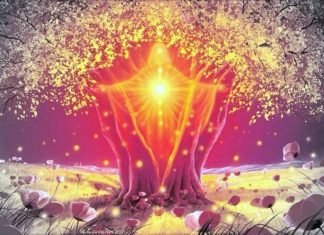 Ouvrez la porte à votre Coeur et à votre Libération