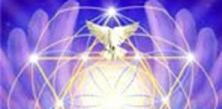 La Nécessité de Comprendre la Transition