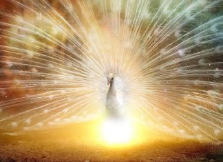 Pratique 32 – Je libère le faux