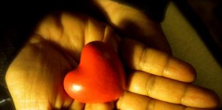 Le Conseil – Pardon