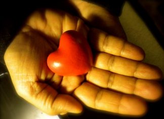 Le Conseil – Pardon