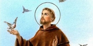 Il y a une clameur venant de la terre. « S.O.S. », crient les voix de nombreux frères