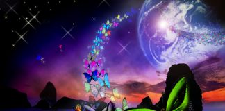 L’ouverture a la Nouvelle Terre