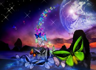 L’ouverture a la Nouvelle Terre