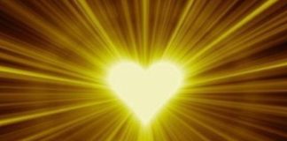 La Lumière est la Communication de l’Amour qui unit toute Vie