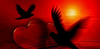 Vous Êtes tendrement Aimés