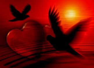 Vous Êtes tendrement Aimés