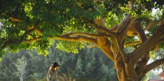 Le pouvoir de l’appréciation