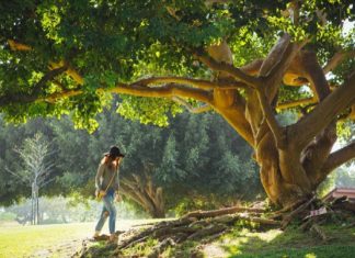 Vous Êtes des Êtres Bénis