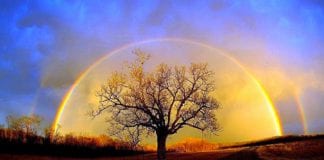 Le groupe Arcturien : Rester Détaché