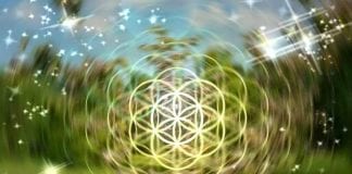 Haut Conseil Sirien : Le voyage de l’Ascension