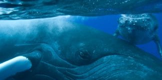 Laissez votre quotidien futile et rassemblons-nous dans un même et unique cristal