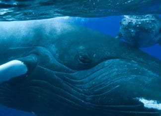 Laissez votre quotidien futile et rassemblons-nous dans un même et unique cristal