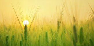 Le vent bienveillant de la transformation