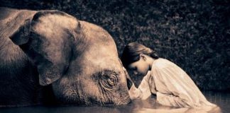 Le Point d’Équilibre