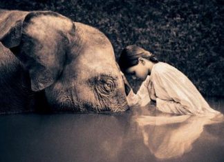 Le Point d’Équilibre