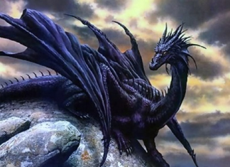 Reprendre la couronne et faire renaitre le coeur de l’humanité