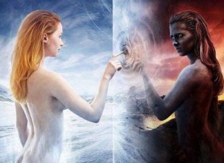 Vous êtes diplômé de l’école de la Planète Terre