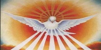 La Terre Mère, El Morya et le Collectif : Revenir dans la ligne de temps de Dieu