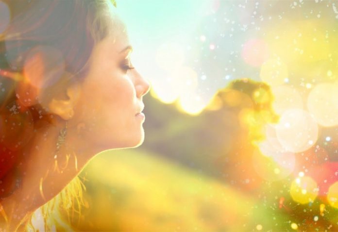 eveil-ici-et-maintenant