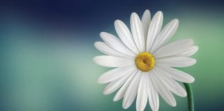 Un chemin simple et évident