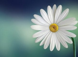 Un chemin simple et évident