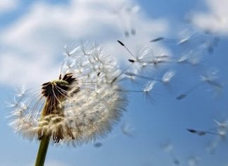 Dans le néant, je sèmerai l’espoir