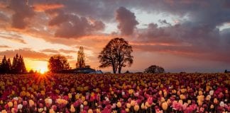 Le Créateur – Vous avez fait un bon choix