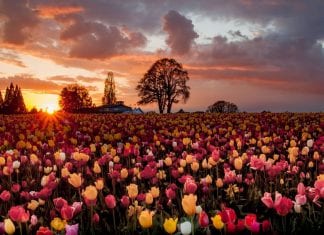 Le Créateur – Vous avez fait un bon choix