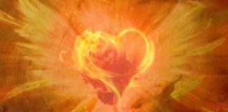 Le pouvoir de votre cœur, première partie