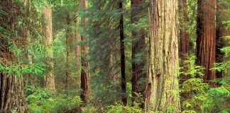 Ok, où en êtes-vous ?