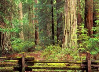 Ok, où en êtes-vous ?