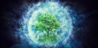 Message de la Terre Mère : Circa 2013, ou était-ce hier ?