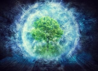 Message de la Terre Mère : Circa 2013, ou était-ce hier ?