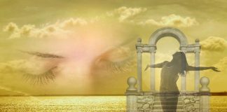 Votre Nord véritable