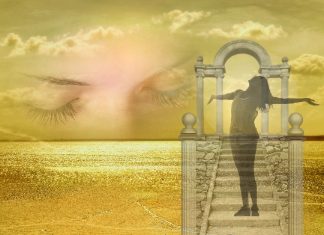 Votre Nord véritable